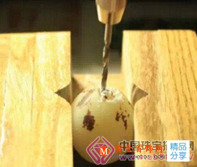 
	文玩菩提根篇 手工打磨菩提根
