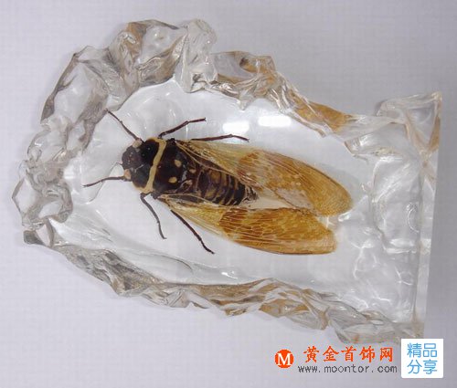 
	琥珀有哪些產地 有關于琥珀產地的介紹
