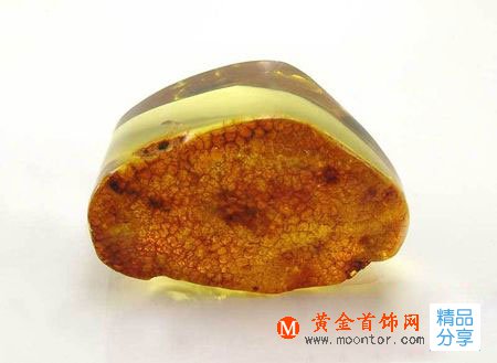 
	鑒別琥珀真假的要素
