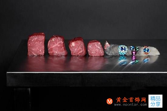 
	饕餮大餐與閃耀珠寶，你如何選擇？
