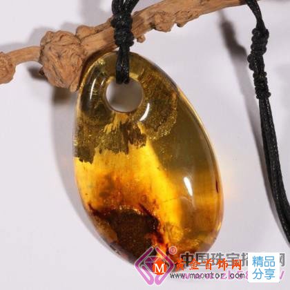 
	鑒別琥珀有妙招，保養琥珀要精細

