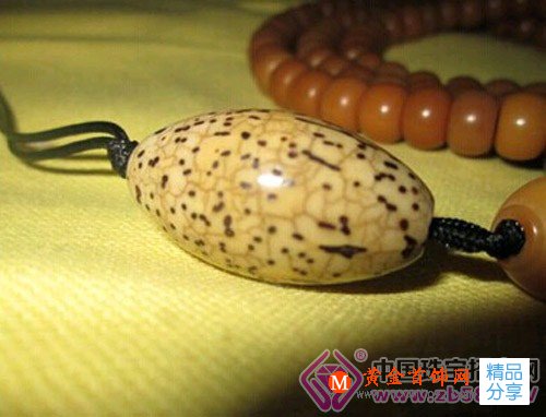 
	如何挑選千眼菩提？千眼菩提的鑒別和保養方法
