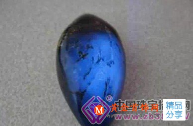 
	琥珀的辨別
