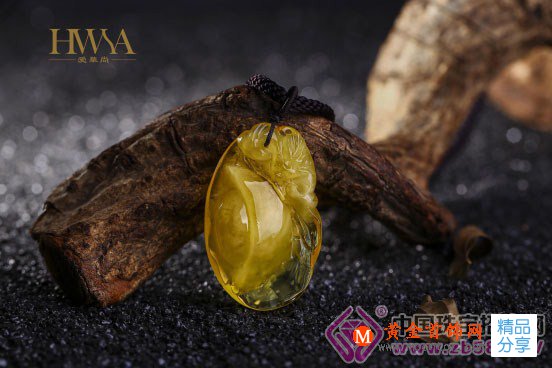 
	【HWSA愛華尚琥珀】琥珀百科
