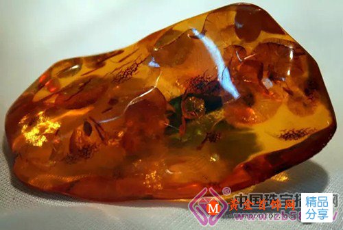 
	琥珀 大自然時空飛梭的圣品

