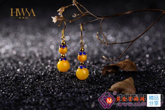 
	【HWSA愛華尚琥珀】琥珀有哪些功效
