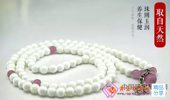 
	佛家七寶之首——硨磲
