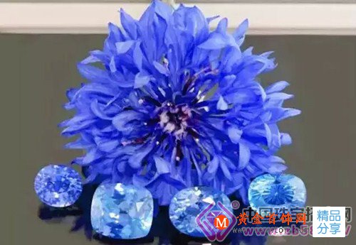 
	藍寶石：矢車菊和皇家藍，哪個才是王道？
