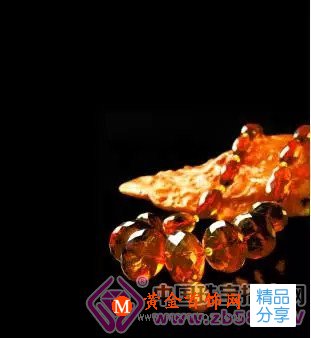 
	琥珀那些事兒
