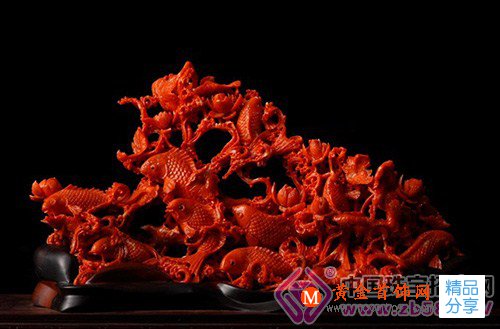 
	中國紅珊瑚需求旺盛 身價平步青云

