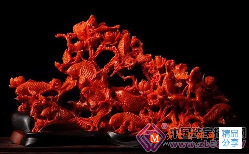 
	“冬日珠寶”海洋之晶——珊瑚之謎
