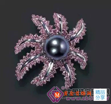 
	神秘高貴的黑珍珠是這樣的
