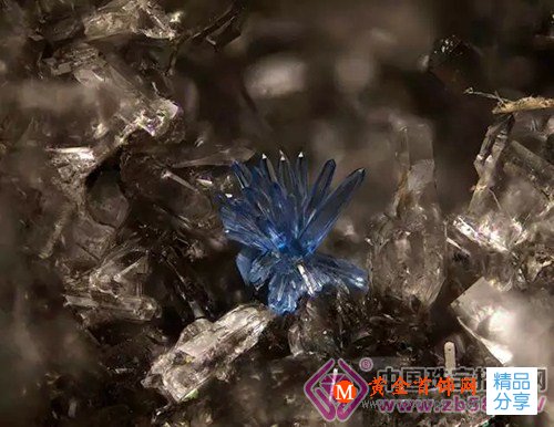 
	這十種寶石，我不說，你這輩子都不會聽說

