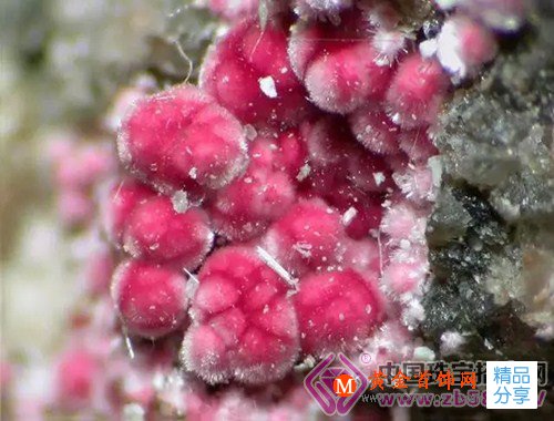 
	這十種寶石，我不說，你這輩子都不會聽說
