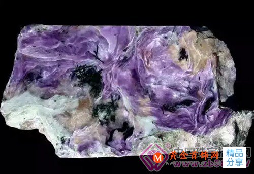 
	同是魅惑紫，憑什么舒俱來比紫龍晶貴？！
