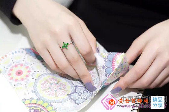 
	帶你走進寒冬的一抹翠綠
