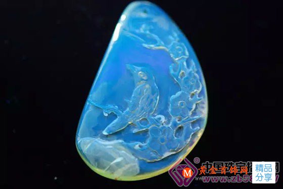 
	原來彩寶中的高富帥是它！
