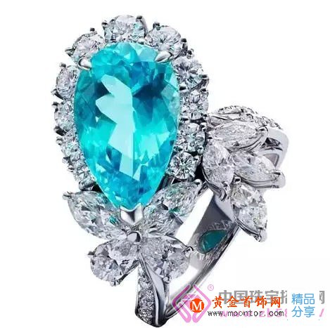 
	帕拉伊巴碧璽 你是如此的美麗
