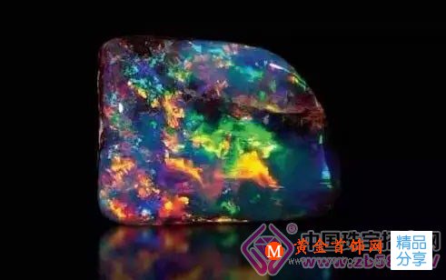
	黑歐泊誤名考：哎呀我不黑！
