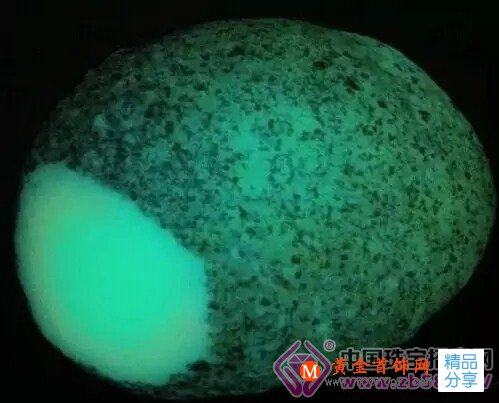 
	假貨致癌！真夜明珠身價過億，全世界唯二
