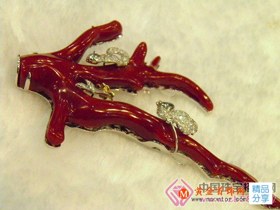 
	紅珊瑚真假難辨 小妙招你學會了嗎？
