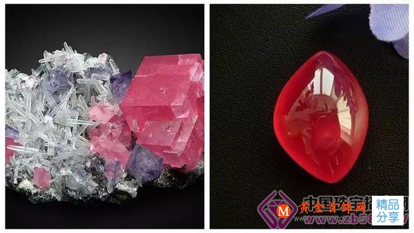 
	驚艷又低調的寶石！竟然還沒來及認識
