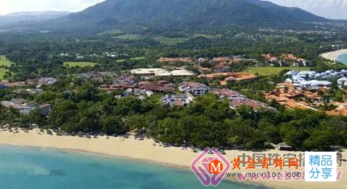 
	海紋石你了解嗎？
