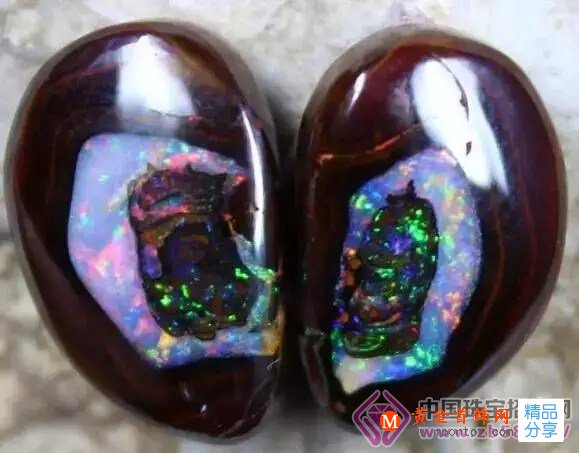 
	貴族瑰寶—彩虹般色彩斑斕的珍貴寶石——歐泊
