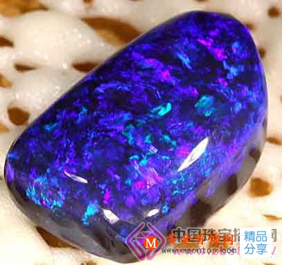 
	歐泊與玻璃的鑒別
