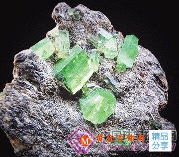 
	祖母綠在國內市場期待怒放
