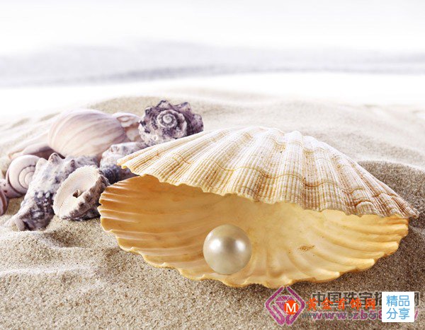 
	怎么給珍珠美白
