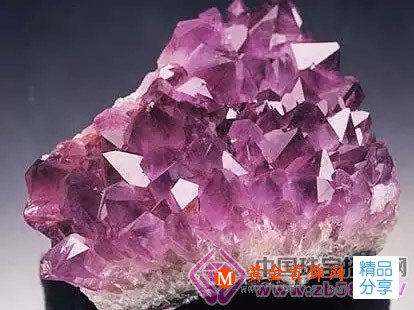 
	寶石王國巴西,它都盛產了些什么？都產自巴西哪里？
