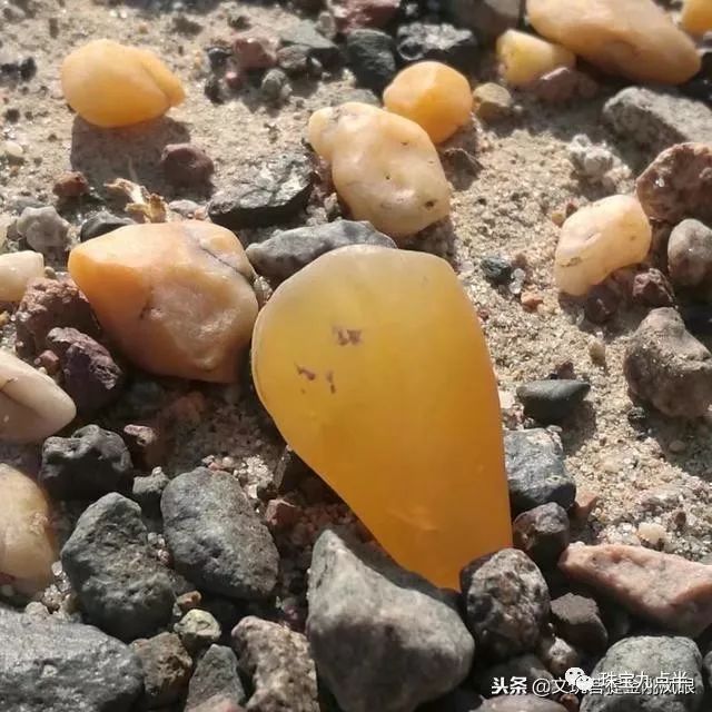 來自戈壁的魅力奇石“金絲玉”