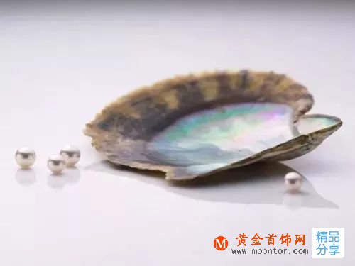 珍珠的種類有多少,你知道嗎?