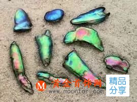 珍珠的種類有多少,你知道嗎?