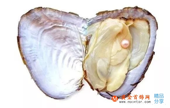 珍珠的種類有多少,你知道嗎?