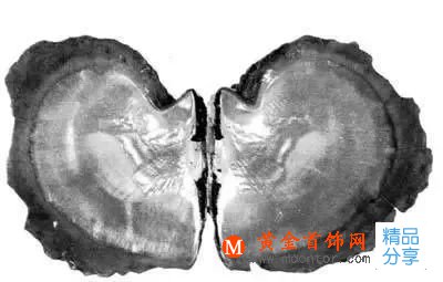 珍珠的種類有多少,你知道嗎?