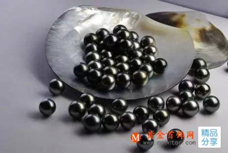 珍珠的種類有多少,你知道嗎?