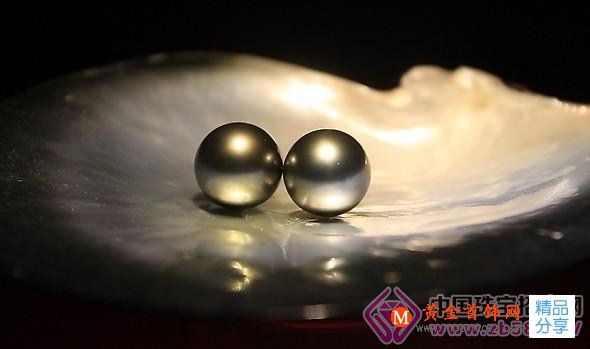 
	怎樣鑒別黑珍珠
