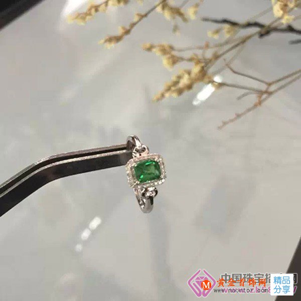
	[沙弗萊]：有眼光的女人都愛它，美麗女人都離不開它！
