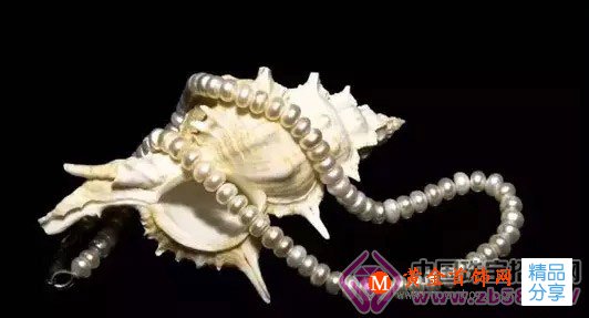 
	不可不知的世界上最著名十大珍珠！
