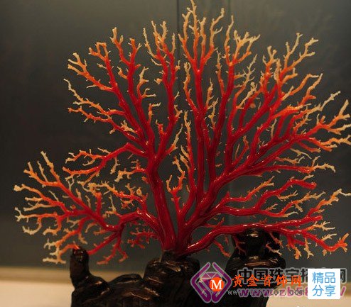 
	紅珊瑚保養與凈化方法
