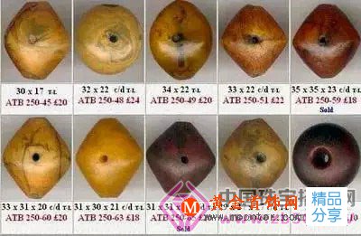 
	原產地就一定能買真琥珀嗎？慧眼識騙術
