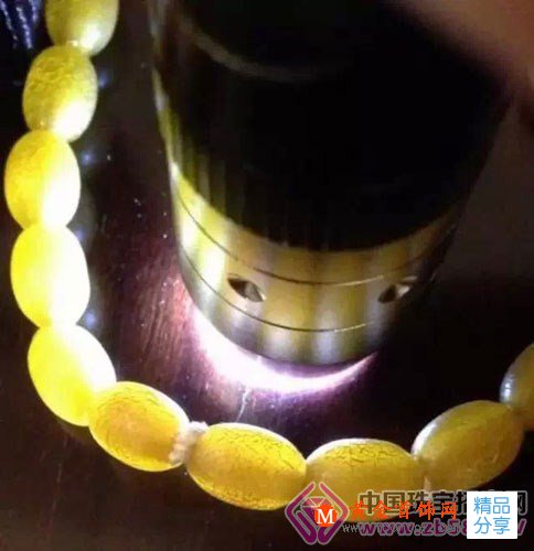 
	原產地就一定能買真琥珀嗎？慧眼識騙術
