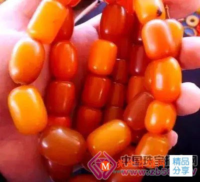 
	原產地就一定能買真琥珀嗎？慧眼識騙術
