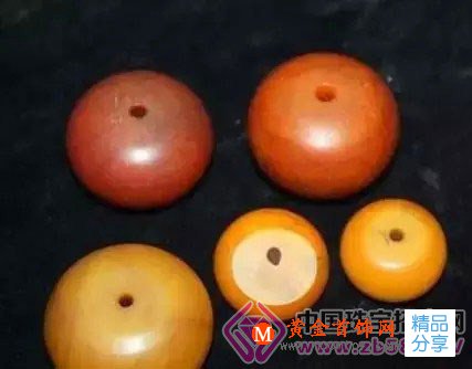 
	原產地就一定能買真琥珀嗎？慧眼識騙術
