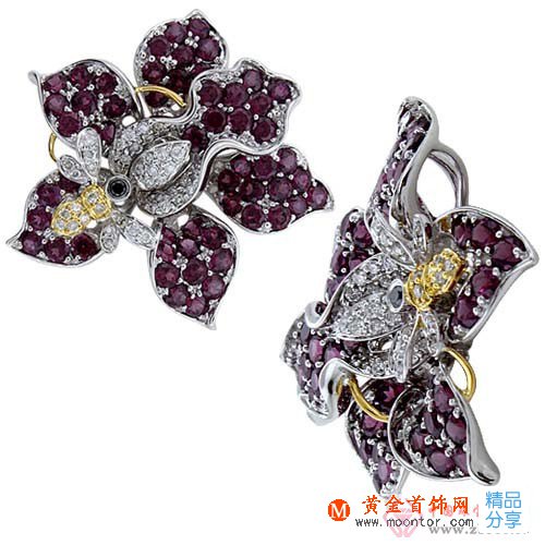 
	石榴石，你以為它是便宜貨嗎？
