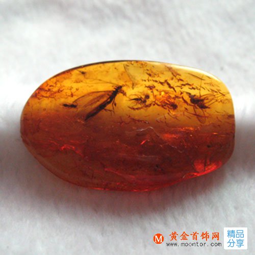
	揭秘天然琥珀具有哪些內部特征呢？
