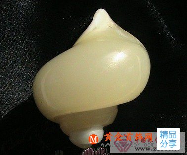 
	活化石簡要介紹
