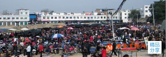 
	南陽玉批發市場在哪里
